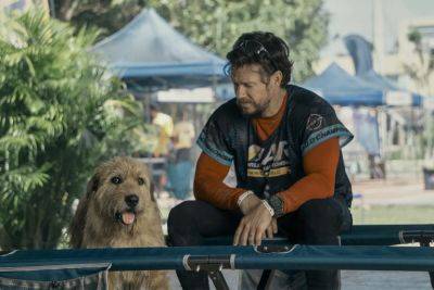 ‘Arthur the King’ Review: Mark Wahlberg and a Very Good Dog Make For a Winning Combination in This Feelgood Drama - variety.com - Costa Rica