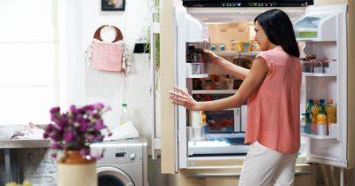 The little-known button on your fridge that can help keep food fresh for longer - www.dailyrecord.co.uk