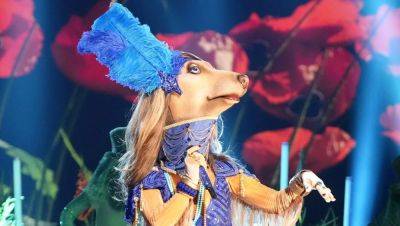 ‘The Masked Singer’ Reveals Identity of Afghan Hound: Here Is the Celebrity Under the Costume - variety.com - Afghanistan