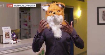 GMB viewers in hysterics as presenter gets head stuck in fox costume during live news broadcast - www.ok.co.uk - Britain - USA - Virginia