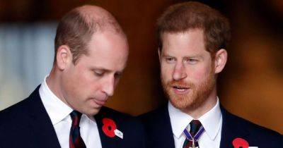 Prince William and Harry called truce after 'last minute text sparked ceasefire' - www.dailyrecord.co.uk - Britain - Scotland - USA