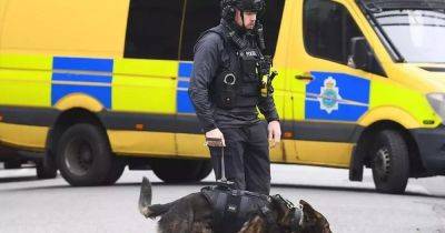 Nine-hour stand off with armed police ends as man arrested after 'crowbar' incident - www.dailyrecord.co.uk