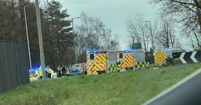 Two teens dead and another fighting for life after horror crash with lorry on Scots road - www.dailyrecord.co.uk - Scotland