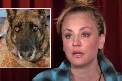 Kaley Cuoco Sadly Announces Death Of Third Dog In One Year - perezhilton.com