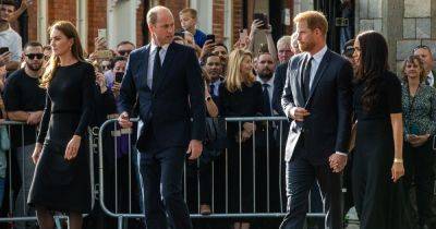 Prince William's response to Harry's text 'engineered by Palace' and 'not warm' - www.dailyrecord.co.uk - Britain