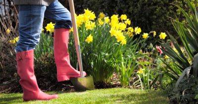 Ten essential spring cleaning jobs that will transform your garden in time for summer - www.manchestereveningnews.co.uk