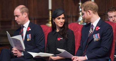 Prince Harry 'in contact with William' but 'not off his own bat' as he won't 'exclude' Meghan - www.dailyrecord.co.uk