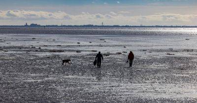 Popular beach near Greater Manchester issues new £100 warning to dog owners - www.manchestereveningnews.co.uk - Manchester - county Garden