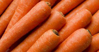 Simple carrot storage hack that can make fresh vegetables last 'months' longer - www.dailyrecord.co.uk - Britain