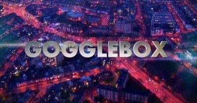 Gogglebox family introduce new addition sending fans into a frenzy - www.ok.co.uk
