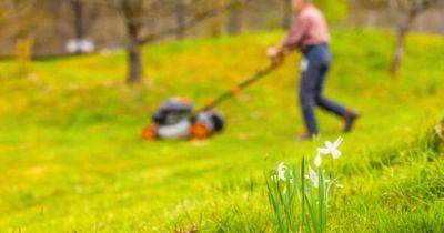 The best time to mow your lawn to keep it lush and green - www.manchestereveningnews.co.uk - Britain - Spain