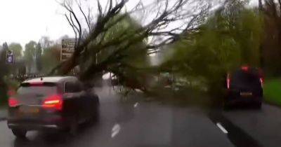 Horrifying moment huge tree comes crashing down and almost SMASHES cars in Manchester - www.manchestereveningnews.co.uk - Manchester - Ireland
