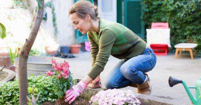 Gardening expert shares why 'starting too early' may ruin your outdoor space - www.dailyrecord.co.uk