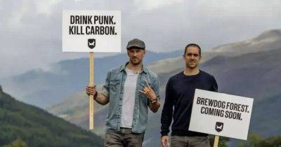 BrewDog confess Lost Forest bid in tatters after half of trees die - www.dailyrecord.co.uk - Scotland - county Highlands
