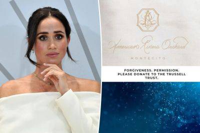 Meghan Markle’s lifestyle brand seemingly hijacked by alleged Princess of Wales fan - nypost.com - Britain - USA
