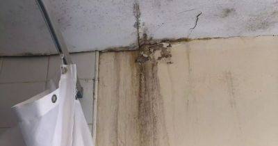 Family fear for health in Glasgow flat riddled with damp and 'black mould' - www.dailyrecord.co.uk - Kurdistan