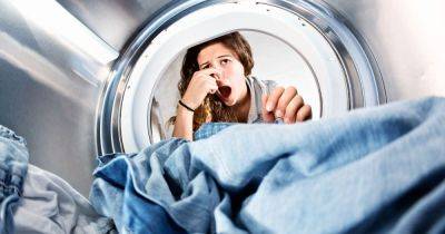 Clean entire washing machine with expert's 'best' method using one item - www.dailyrecord.co.uk