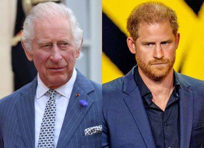 Why King Charles Will Likely SNUB Prince Harry On London Visit Next Week! - perezhilton.com