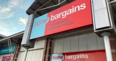 Home Bargains 'lovely' outdoor accessory that makes a 'cosy' garden comes at 'perfect price' - www.manchestereveningnews.co.uk - Britain