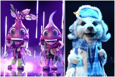 ‘The Masked Singer’ Reveals Identities of the Seal and Beets: Here Are the Celebrities Under the Costumes - variety.com - USA - county Clay - city Aiken, county Clay