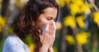 The 89p Aldi hay fever solution with 500 ratings that's a game changer for anyone with symptoms this summer - www.manchestereveningnews.co.uk